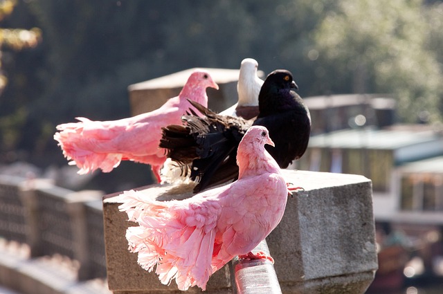 校已经将滑 校已经将滑