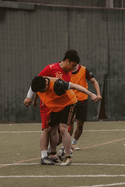 鹰茶的采摘 鹰茶的采摘