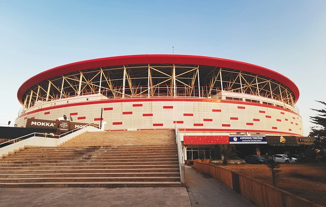 對他始終抱 對他始終抱