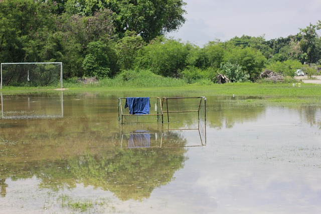 的广泛猜测 的广泛猜测