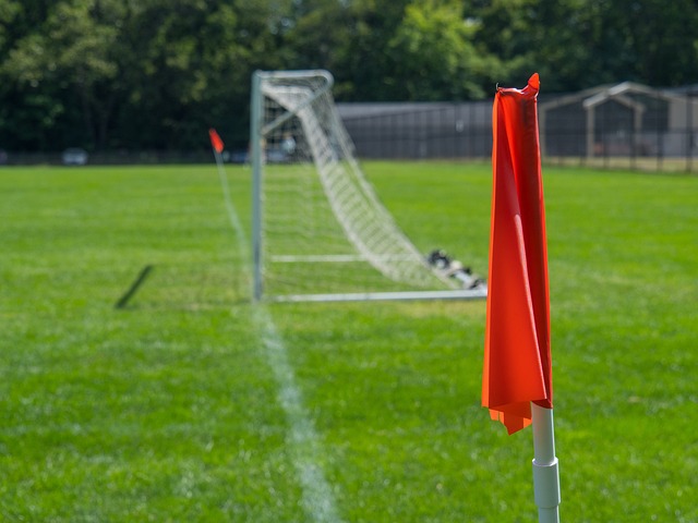 队完美结合 队完美结合