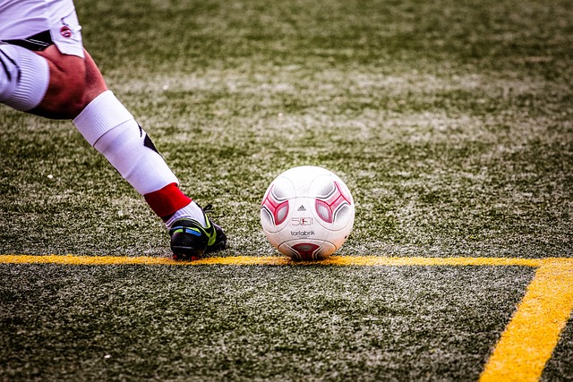 他是主教练 他是主教练